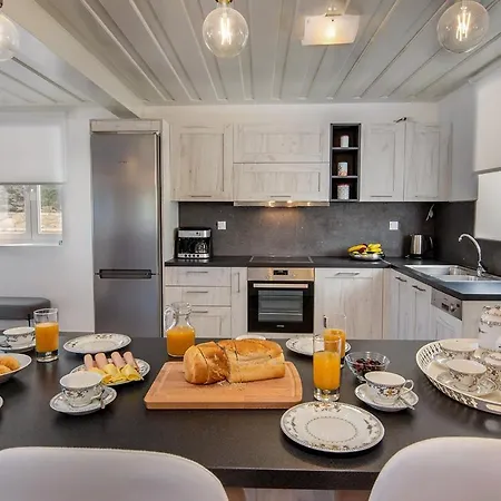 Villa Constadina Large Private Pool Ac Wifi Mastoratika